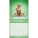 Yoga Cats 2027 Square Wall Calendar