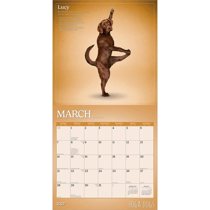 Yoga Dogs 2027 Square Wall Calendar