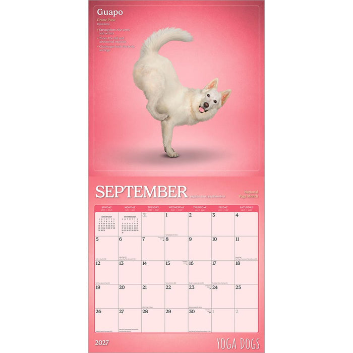 Yoga Dogs 2027 Square Wall Calendar