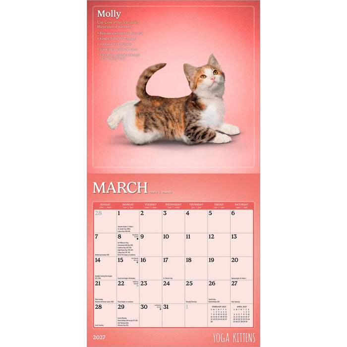 Yoga Kittens 2027 Mini Wall Calendar