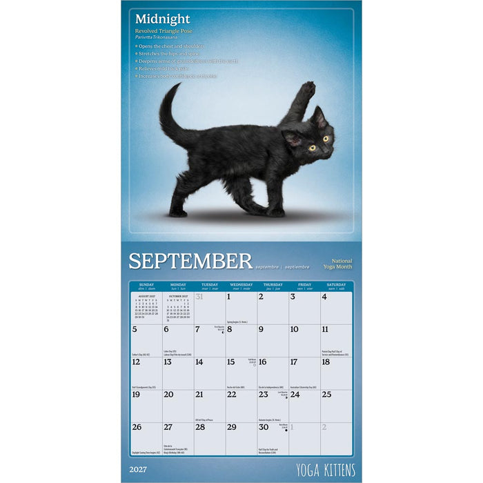 Yoga Kittens 2027 Mini Wall Calendar
