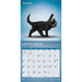 Yoga Kittens 2027 Mini Wall Calendar