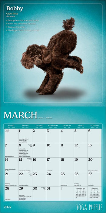 Yoga Puppies 2027 Mini Wall Calendar