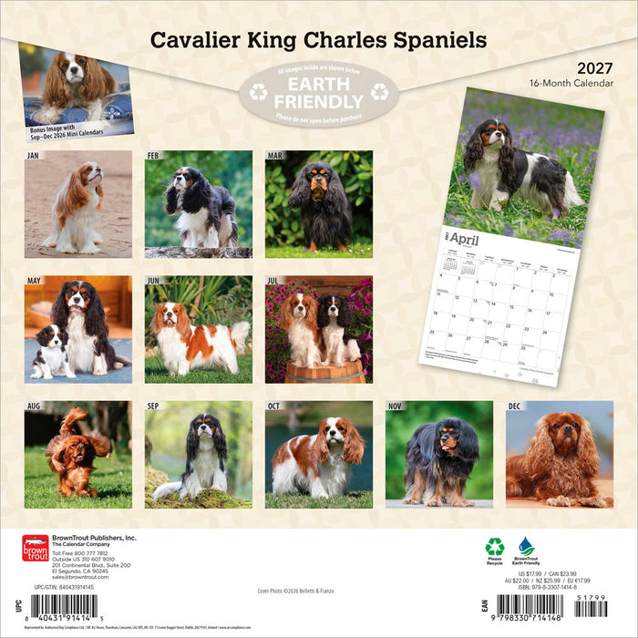 Cavalier King Charles Spaniels 2027 Square Wall Calendar
