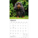 Cavalier King Charles Spaniels 2027 Square Wall Calendar