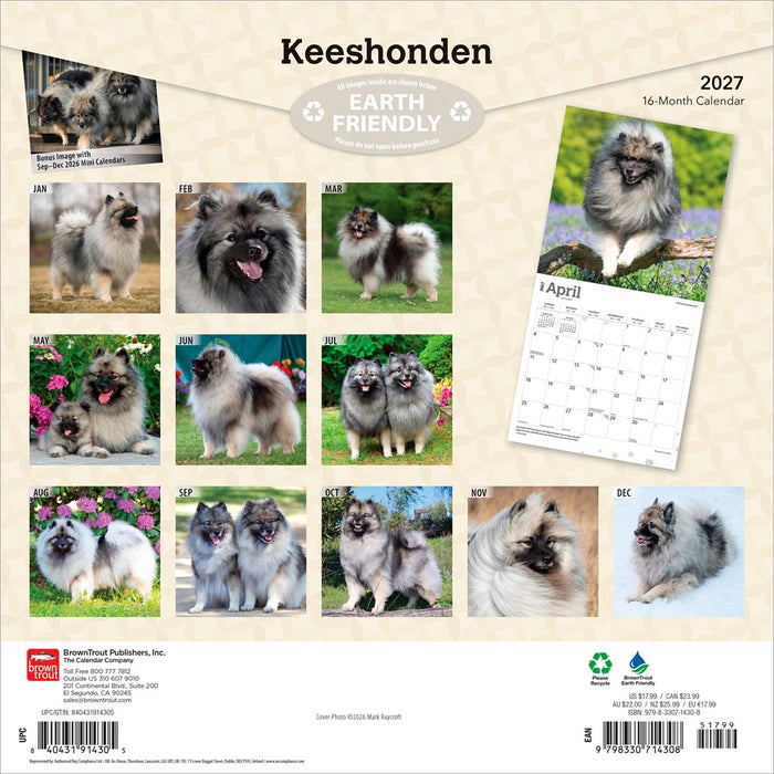 Keeshonden 2027 Square Wall Calendar