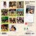 German Shepherd Puppies 2027 Mini Wall Calendar