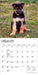 German Shepherd Puppies 2027 Mini Wall Calendar