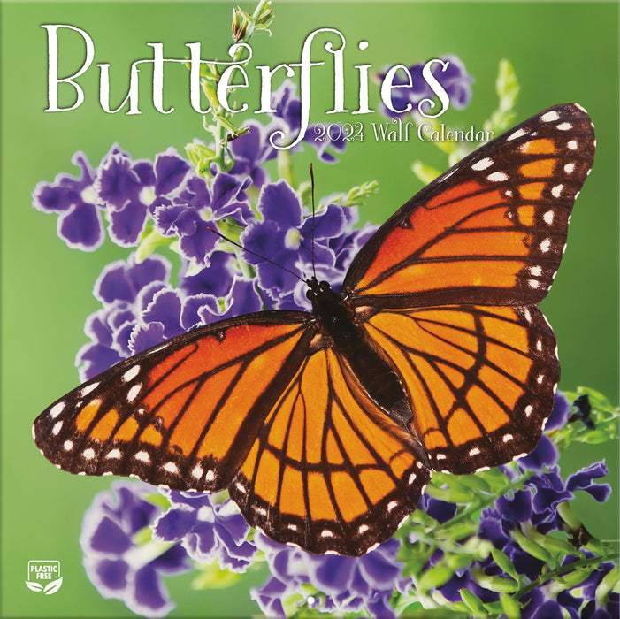 2024 Butterflies Wall Calendar