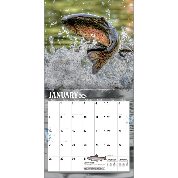 2024 Fish On Wall Calendar