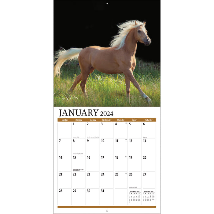 2024 Horses Mini Wall Calendar