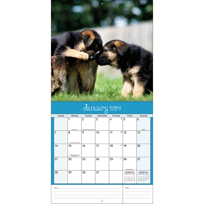 2024 Playful Puppies Mini Wall Calendar