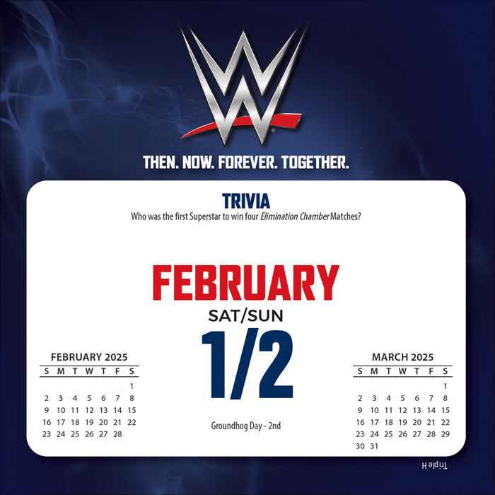 2025 WWE Page-A-Day Calendar