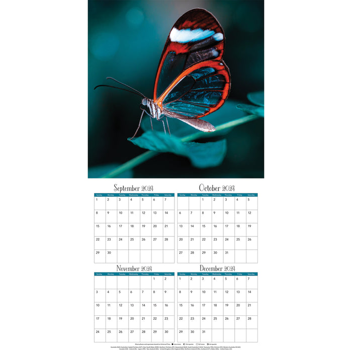 2025 Butterflies Wall Calendar