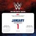 WWE Wrestling 2026 Page-A-Day Calendar