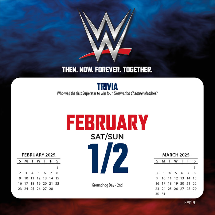 WWE Wrestling 2026 Page-A-Day Calendar
