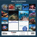 Sea Creatures 2027 Square Wall Calendar