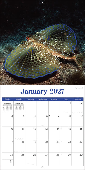 Sea Creatures 2027 Square Wall Calendar