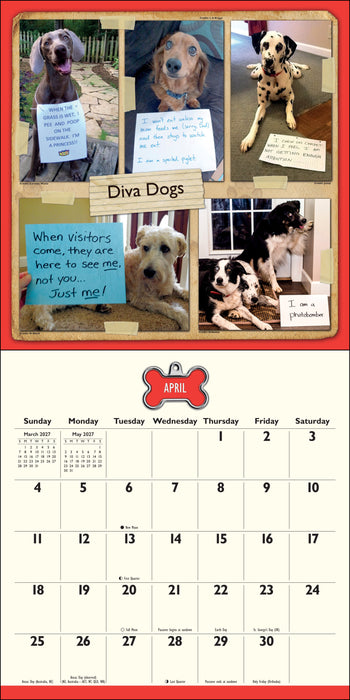 Dog Shaming 2027 Square Wall Calendar