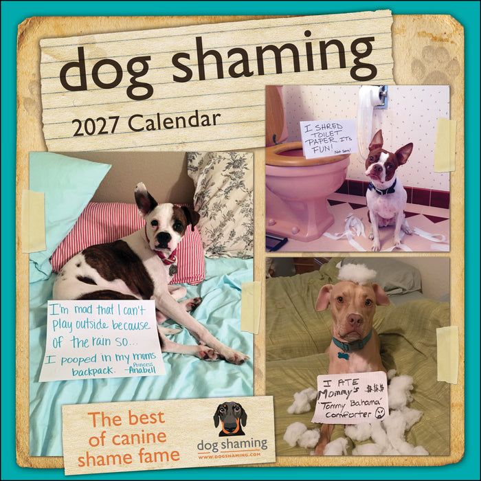 Dog Shaming 2027 Square Wall Calendar