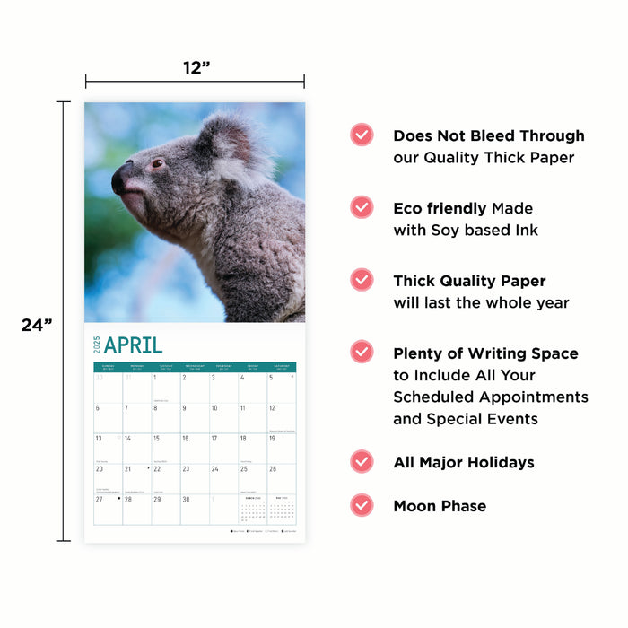 2025 Koalas Wall Calendar