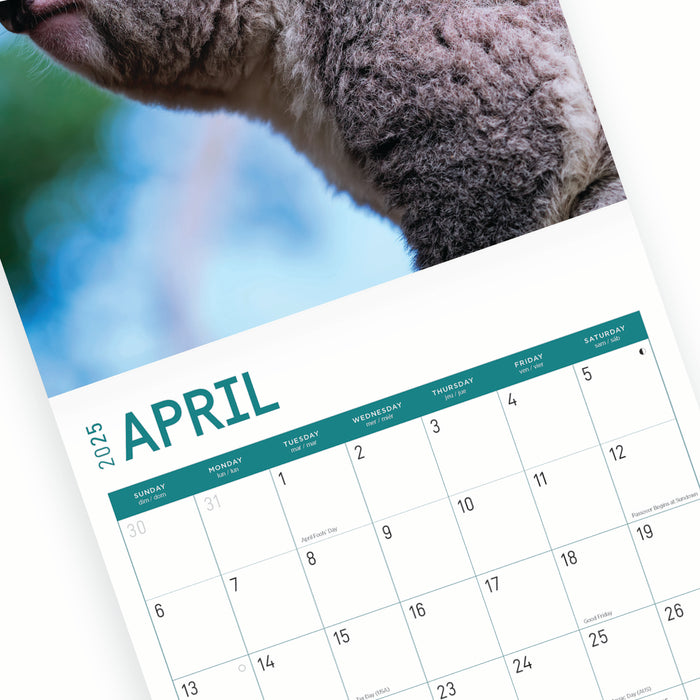 2025 Koalas Wall Calendar