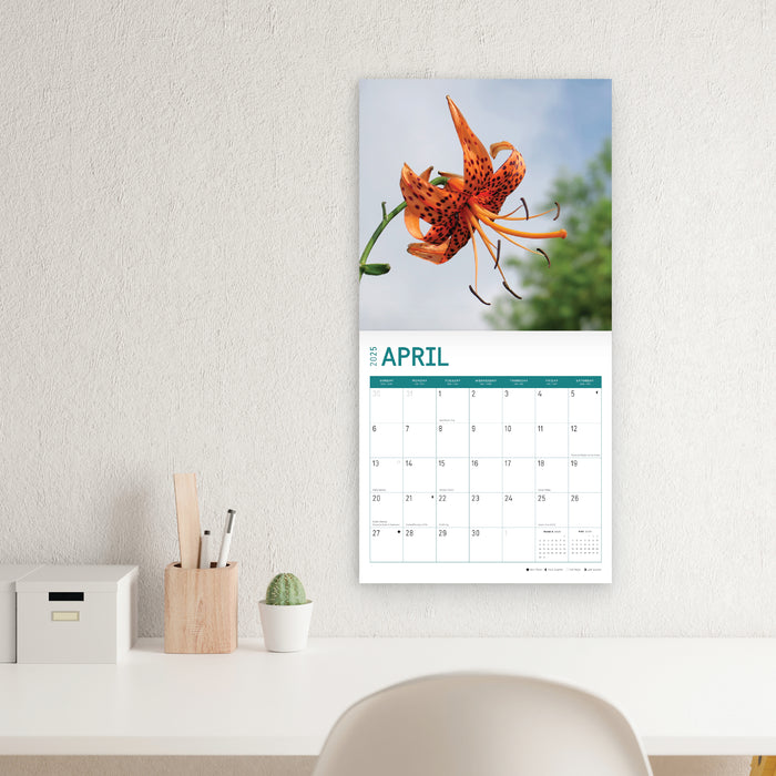 2025 Lilies Wall Calendar