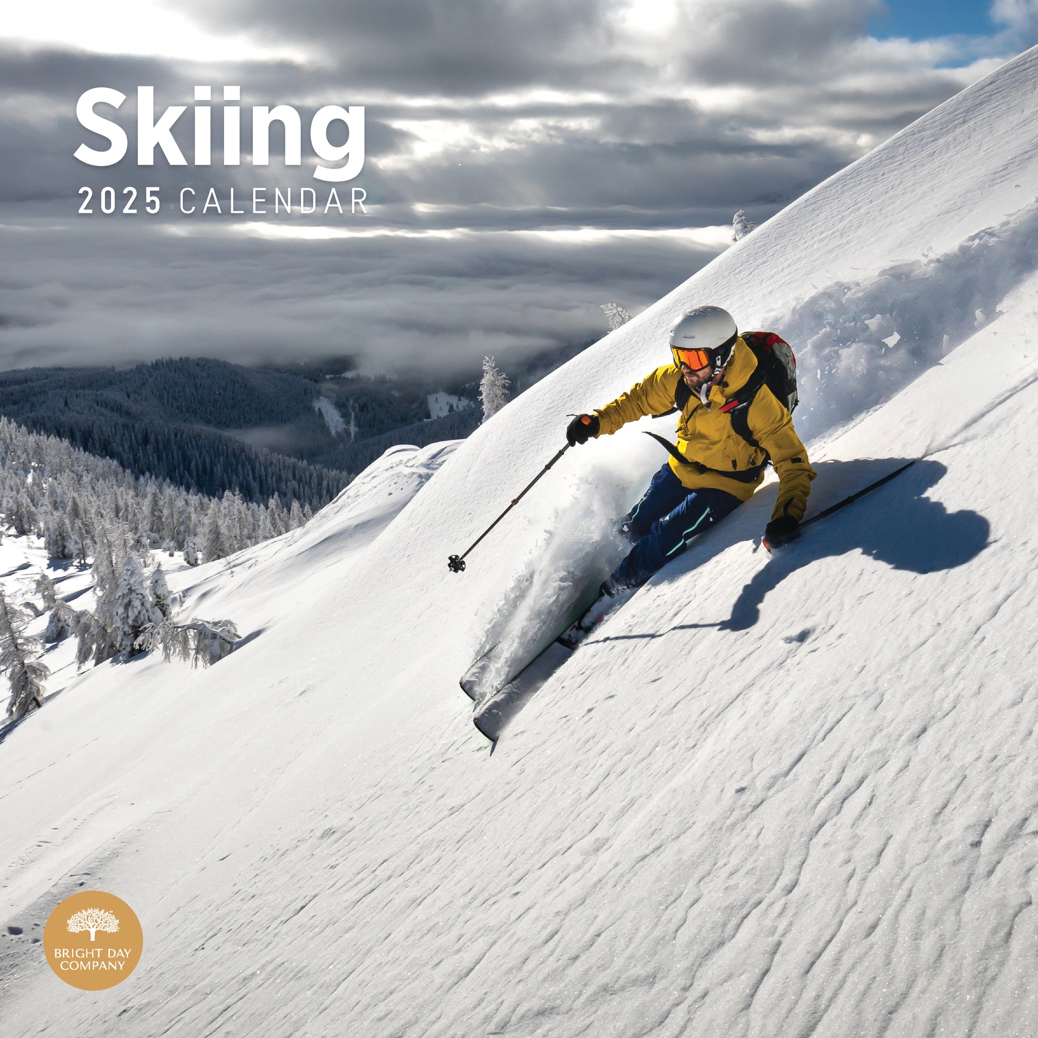 Shop 2025 Sports Calendars Online | Calendar Club