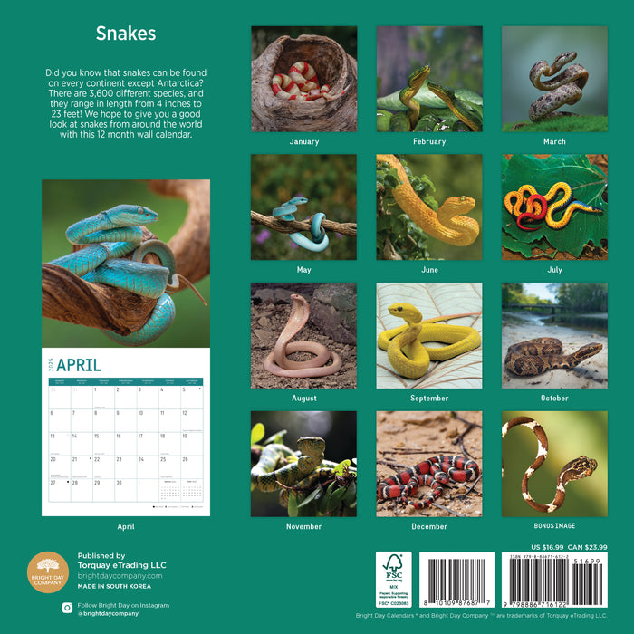 2025 Snakes Wall Calendar