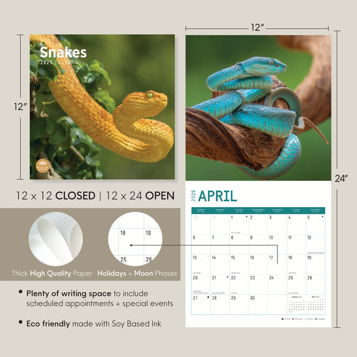 2025 Snakes Wall Calendar