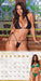 2025 Sports Illustrated Swimsuit Wall Calendar by  Trends International from Calendar Club