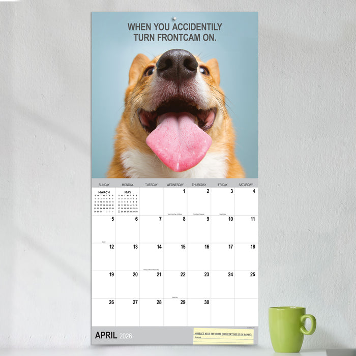Desk Dogs 2026 Square Wall Calendar