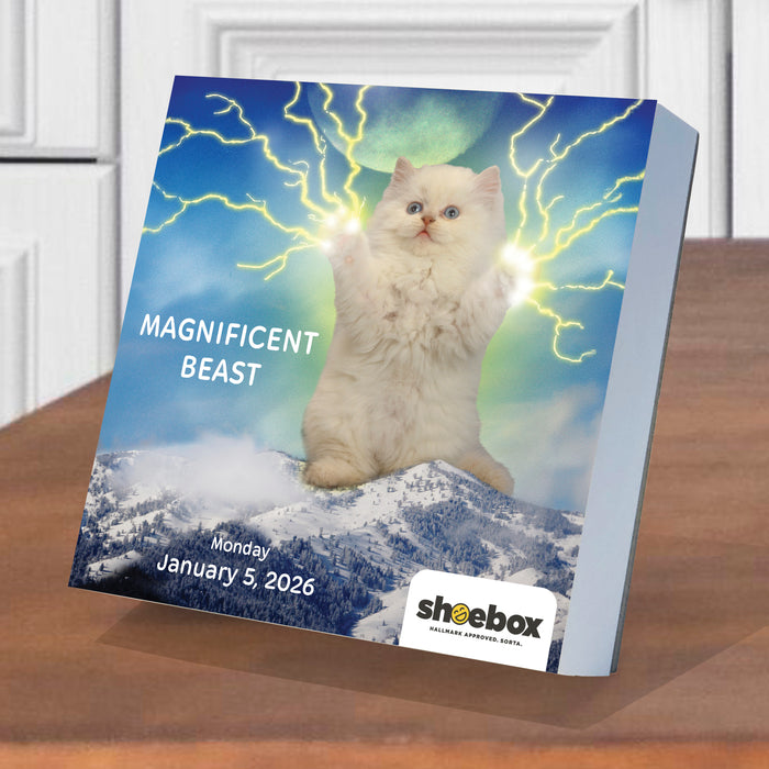 Shoebox LOL Daily 2026 Page-A-Day Calendar