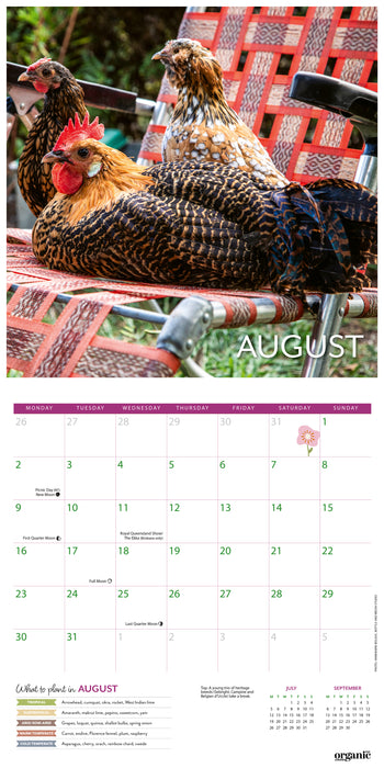ABC Organic Gardener 2027 Square Wall Calendar