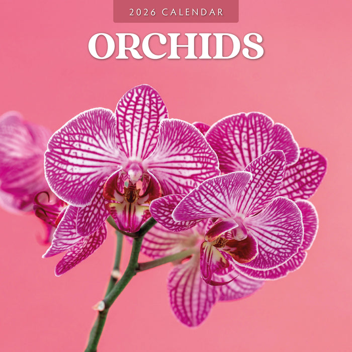 2026 Orchids Wall Calendar