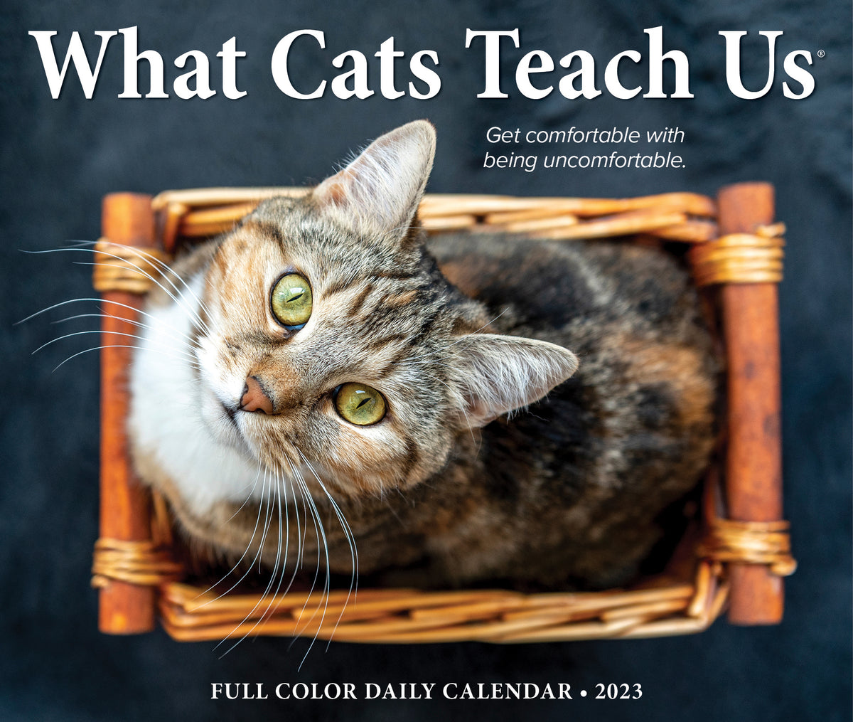What Cats Teach Us 2023 Page-A-Day — Calendar Club