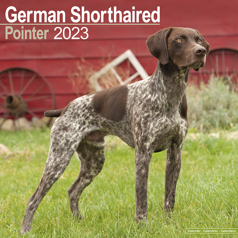 is the german shorthaired pointer legal in suriname