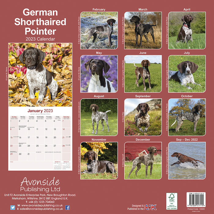 is the german shorthaired pointer legal in suriname