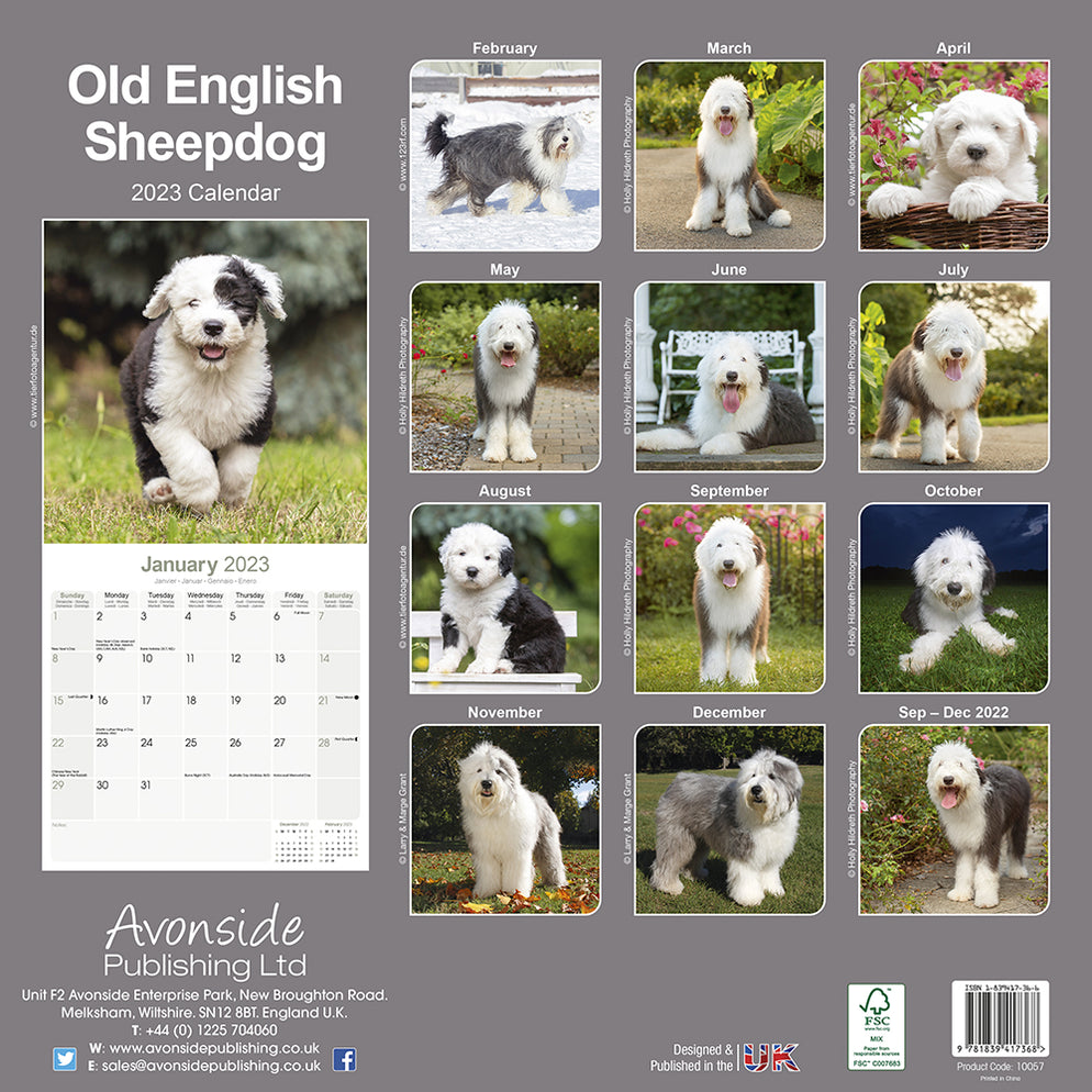 Old English Sheepdog 2023 ONLINE EXCLUSIVE Square Wall Calendar